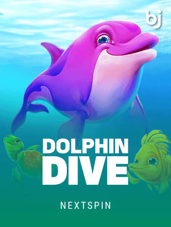 Dolphin Divepng game cover